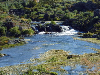 go Gurrida-01-01-2003 04-22-49